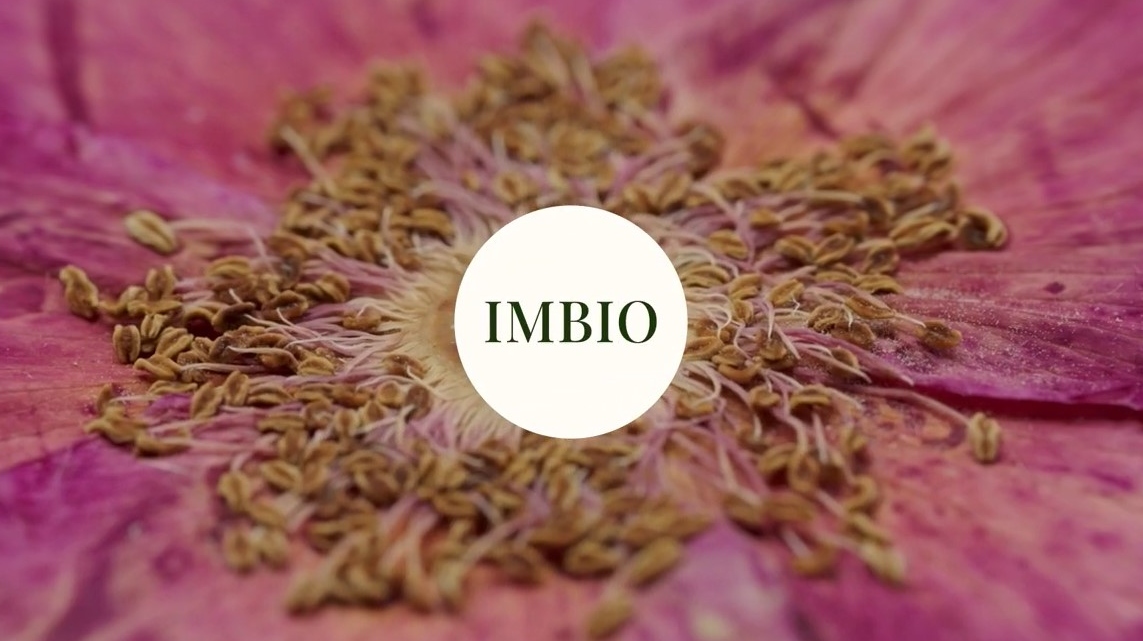 Film podsumowujący projekt IMBIO
